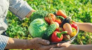 Municípios já podem manifestar interesse para adesão ao Programa de Aquisição de Alimentos (PAA)